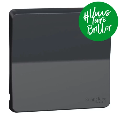 Enjoliveur avec symbôle lumière IP55 IK07 - Gris anthracite - Mureva Styl