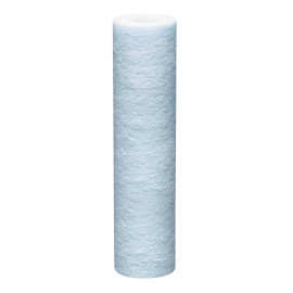 Cartouche anti-impuretés et antiprolifération bactérienne ARCTIC BWT - 20µm - 3/4''