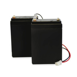 Kit 2 batteries de secours Batterygate 2 SCS Sentinel - Rechargeables - Pour moteur portail battant