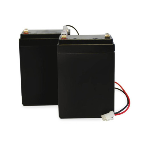 Kit 2 batteries de secours Batterygate 2 SCS Sentinel - Rechargeables - Pour moteur portail battant
