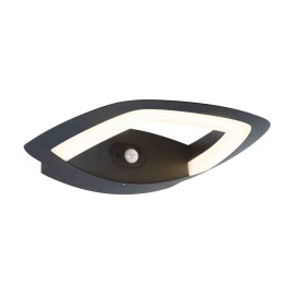 Applique LED extérieure Akena Paulmann - Avec détecteur - 11W - 3000K - IP44 - Anthracite
