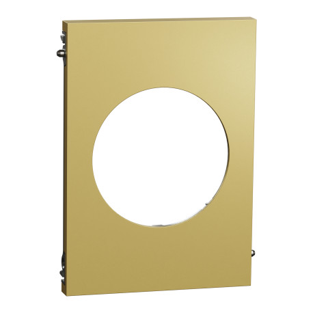 Plaque Odace Architecte Schneider Electric - 1 poste - Centrale - Effet Laiton