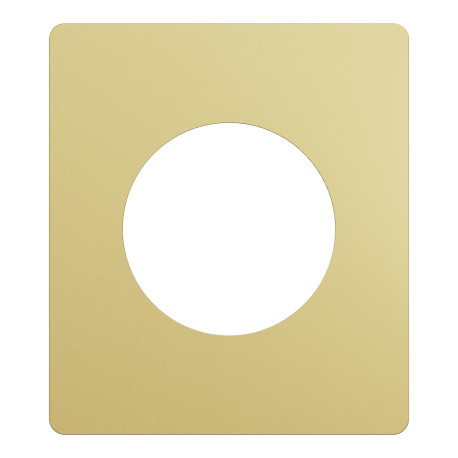 Plaque Odace Architecte Schneider Electric - 1 poste - Effet Laiton