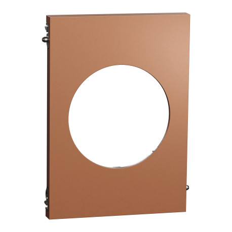 Plaque Odace Architecte Schneider Electric - 1 poste - Centrale - Effet Cuivre