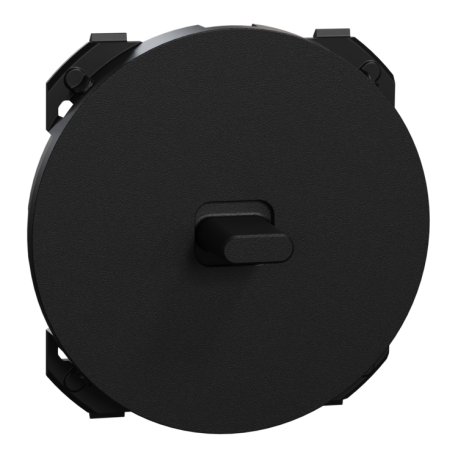 Enjoliveur pour va-et-vient ou poussoir à levier Odace Schneider Electric - Noir Onyx