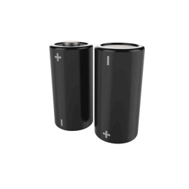 Lot de 2 Piles lithium 3V CR123 Delabie - Pour boitier électronique robinetteries sanitaires