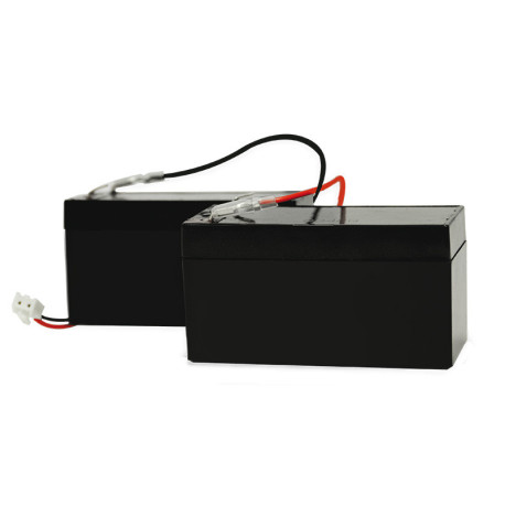 Lot de 2 batteries de secours 12/24V SCS Sentinel - Rechargeables - Pour moteur portail coulissant