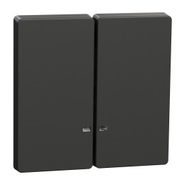 Enjoliveur pour double commande lumineuse D-Life Schneider Electric - Avec fenêtre de signalisation - Anthracite