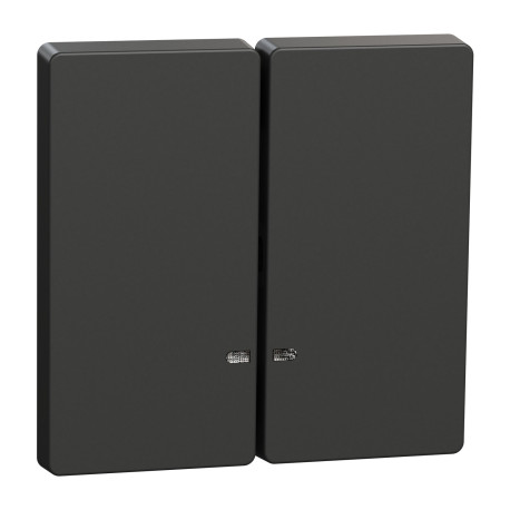 Enjoliveur pour double commande lumineuse D-Life Schneider Electric - Avec fenêtre de signalisation - Anthracite