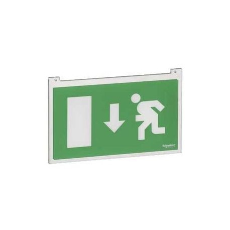 Ecran polycarbonate pour bloc à tranche à led - simple face - flèche bas