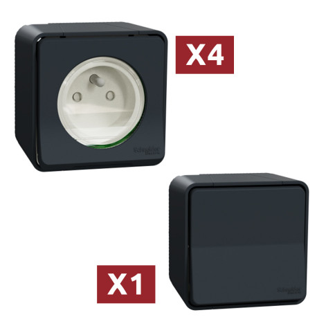 Pack Mureva Styl - 4 Prises 2P+T + 1 Commande va-et-vient - IP55 IK08 - Saillie - Gris
