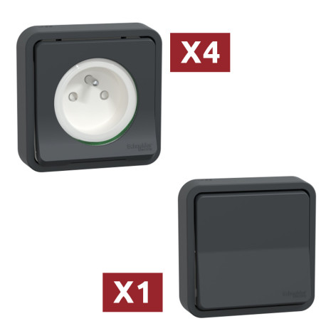 Pack Mureva Styl - 4 Prises 2P+T + 1 Commande va-et-vient - IP55 - Encastré - Gris