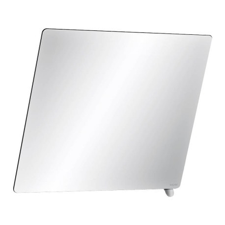 Miroir inclinable Delabie avec poignée - 500 x 600mm