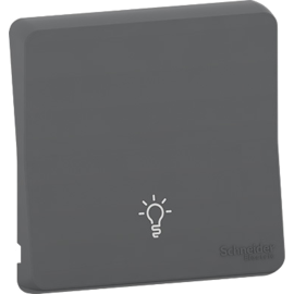Enjoliveur avec symbôle lumière IP55 IK07 - Gris anthracite - Mureva Styl