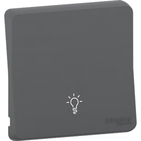 Enjoliveur avec symbôle lumière IP55 IK07 - Gris anthracite - Mureva Styl