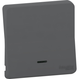 Enjoliveur avec lentille IP55 IK07 - Gris anthracite - Mureva Styl