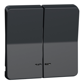 Enjoliveur 2 demi touche IP55 IK07 - Gris anthracite - Mureva Styl