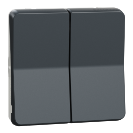 Double va et vient IP55 IK07 - Composable - Gris anthracite - Mureva Styl