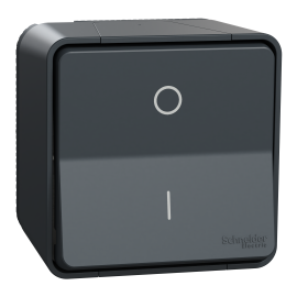 Interrupteur bipolaire à connexion automatique IP55 IK08 - Saillie - Gris - Mureva Styl