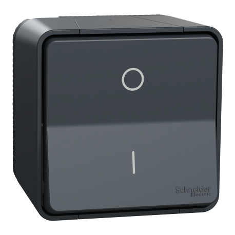 Interrupteur bipolaire à connexion automatique IP55 IK08 - Saillie - Gris - Mureva Styl