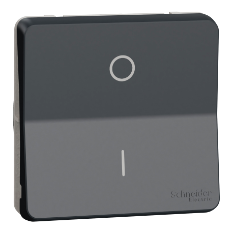Interrupteur bipolaire à connexion automatique IP55 IK08 - Composable - Gris anthracite - Mureva Styl
