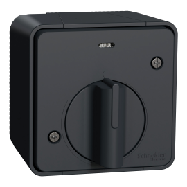 Interrupteur temporisé LED IP55 IK08 - En saillie - Gris - Mureva Styl