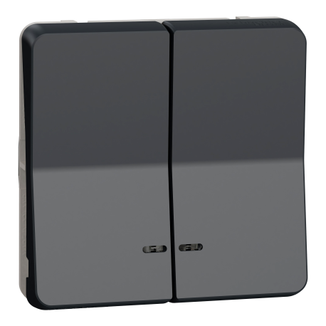 Double bouton poussoir lumineux LED IP55 IK07 - Gris anthracite - Mureva Styl