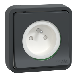 Prise de courant 2P+T Mureva Styl Schneider Electric - Encastrée - 16A - IP55 - Gris - Complet