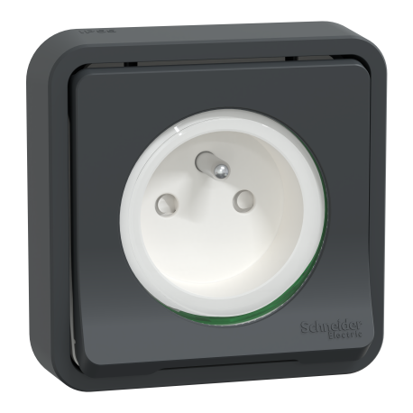 Prise de courant 2P+T Mureva Styl Schneider Electric - Encastrée - 16A - IP55 - Gris - Complet