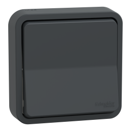 Va-et-vient Mureva Styl Schneider Electric - Encastré - 10AX - IP55 - Gris - Complet