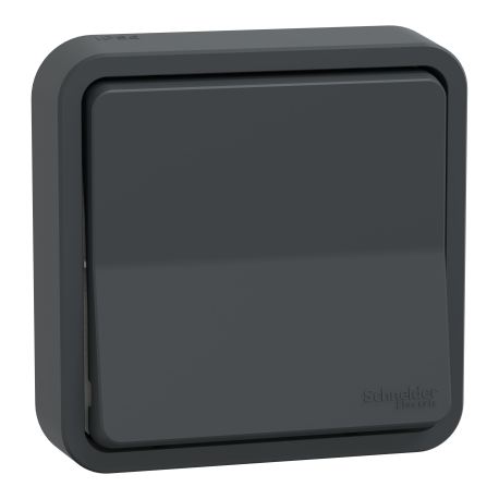 Va-et-vient Mureva Styl Schneider Electric - Encastré - 10AX - IP55 - Gris - Complet