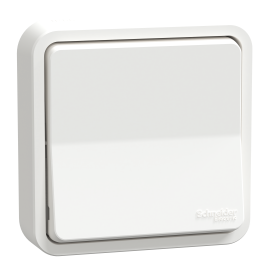 Va-et-vient Mureva Styl Schneider Electric - Encastré - 10AX - IP55 - Blanc - Complet