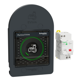 Prise 2P+T renforcée + protection Mureva EVlink Schneider Electric - Anthracite - IP66 - Saillie