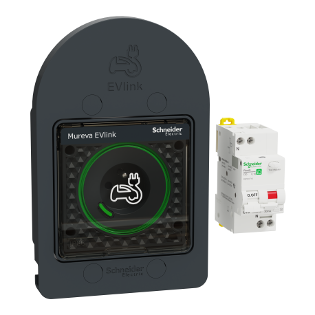 Prise 2P+T renforcée + protection Mureva EVlink Schneider Electric - Anthracite - IP66 - Saillie