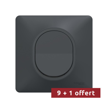 Pack de 10 va-et-vient Ovalis Schneider Electric - 10 AX - Anthracite