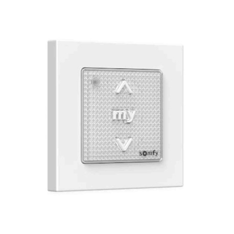 Point de commande murale Smoove® RTS II Somfy - Module + cadre