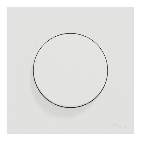Ensemble complet - Va-et-Vient / Interrupteur / Poussoir + Plaque - Odace 2025 - Blanc