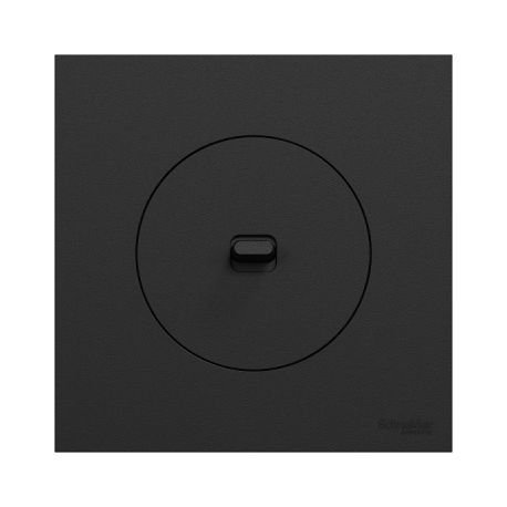 Ensemble complet - Va-et-Vient / Poussoir à levier + Plaque - Odace 2025 - Noir