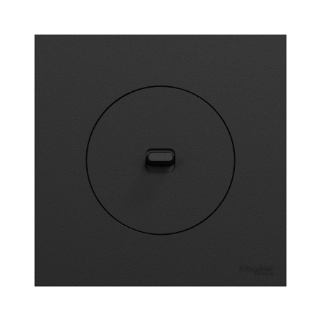 Ensemble complet - Va-et-Vient / Poussoir à levier + Plaque - Odace 2025 - Noir