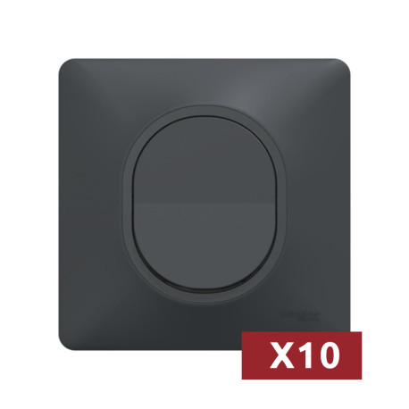 Pack de 10 va-et-vient Ovalis Schneider Electric - 10 AX - Anthracite