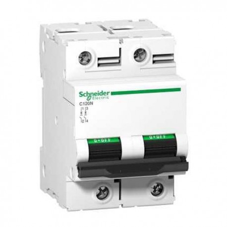 Disjoncteur 125 A - C120N - 2P - Courbe B - 10 kA