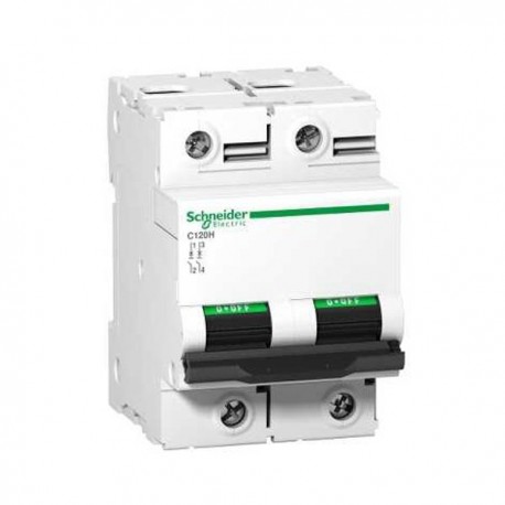 Disjoncteur 100 A - C120H - 2P - Courbe C - 15 kA