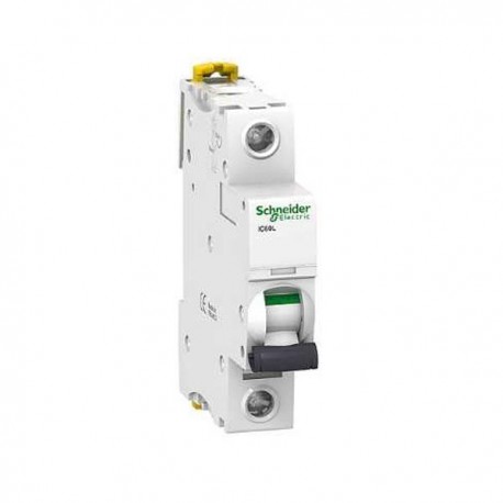 Disjoncteur 2 A - Acti9 - iC60L - 1P -Courbe C