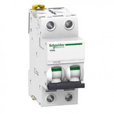 Disjoncteur 63 A - Acti9 - iC60N - 2P - Courbe C