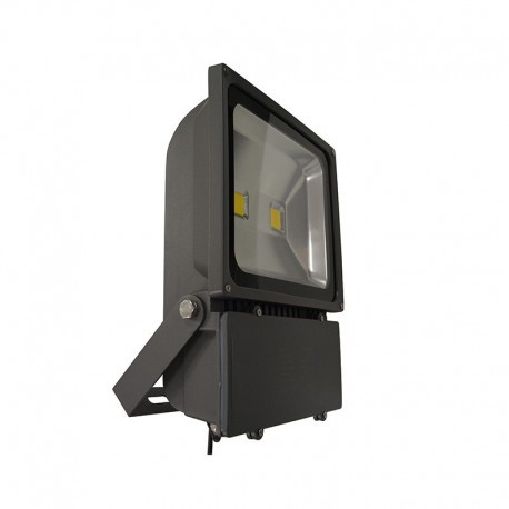 Projecteur extérieur LED gris - 100W - 4000K - IP65 - Non dimmable 