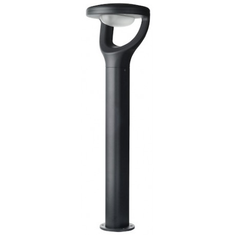Borne SUNNY LED Aluminium Graphite -10W - 5000K - Ampoule fournie