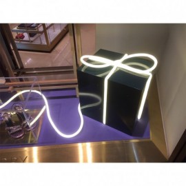 Bobine néon flex LED 22x11 mm - 3m - 8W/M - 230V - RGB - IP65 - Non dimmable