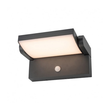 Applique murale orientable LED - Gris anthracite - 12W - 4000K - IP54 - Non dimmable - Avec ampoule