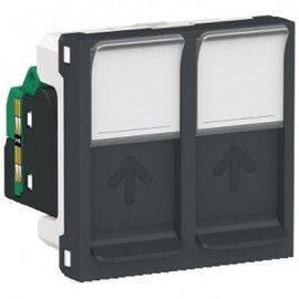 Double prise RJ45 Unica - Cat.5e UTP - 2 modules - Anthracite