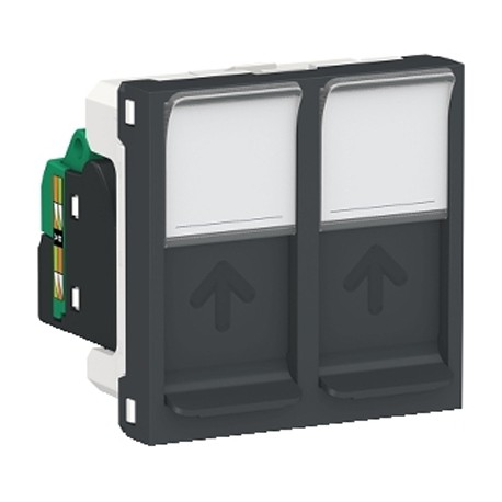 Double prise RJ45 Unica - Cat.5e UTP - 2 modules - Anthracite